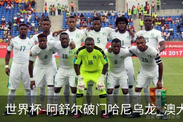 世界杯-阿舒尔破门哈尼乌龙 澳大利亚1-1埃及进点球
