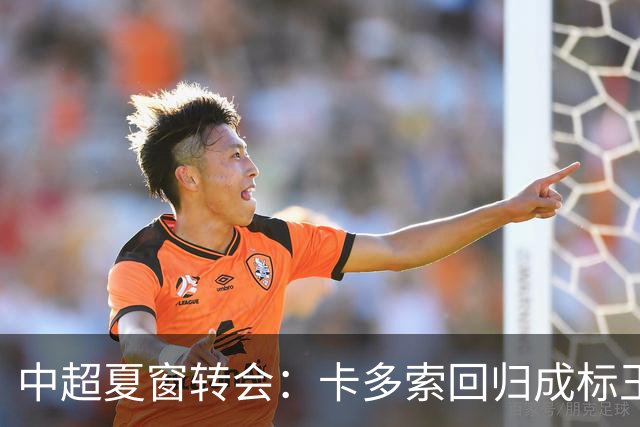 中超夏窗转会：卡多索回归成标王 山东重庆零引援