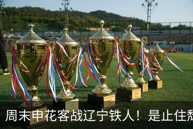周末申花客战辽宁铁人！是止住颓势最好时候