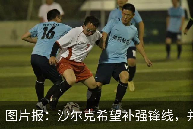 图片报：沙尔克希望补强锋线，并为40岁哲科提供了续约合同