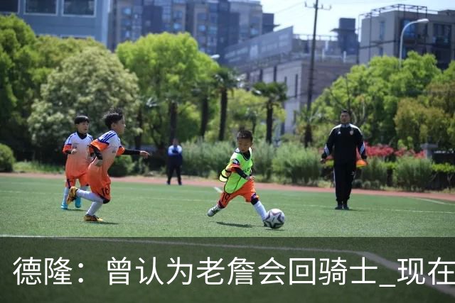 德隆：曾认为老詹会回骑士 现在更倾向于他回热火