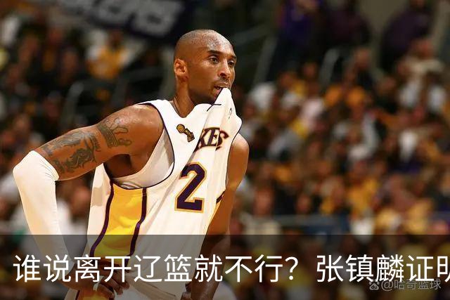 谁说离开辽篮就不行？张镇麟证明价值，赵继伟或效仿联手周琦冲冠