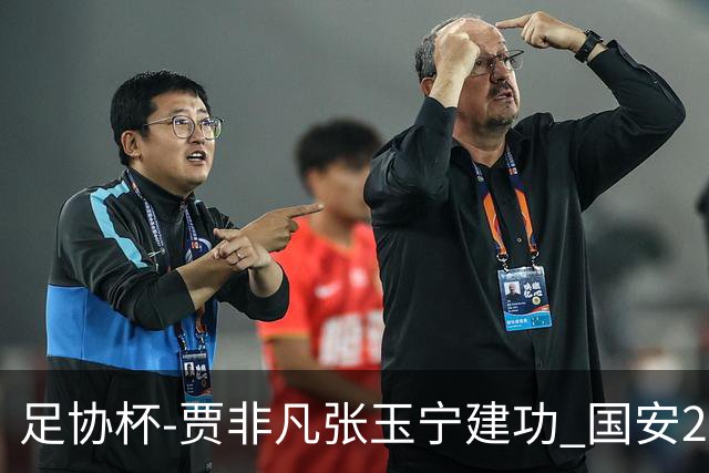 足协杯-贾非凡张玉宁建功 国安2-1大连可为晋级8强