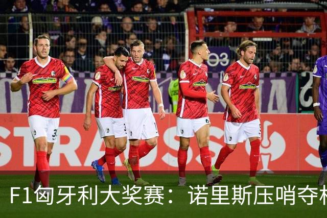 F1匈牙利大奖赛：诺里斯压哨夺杆